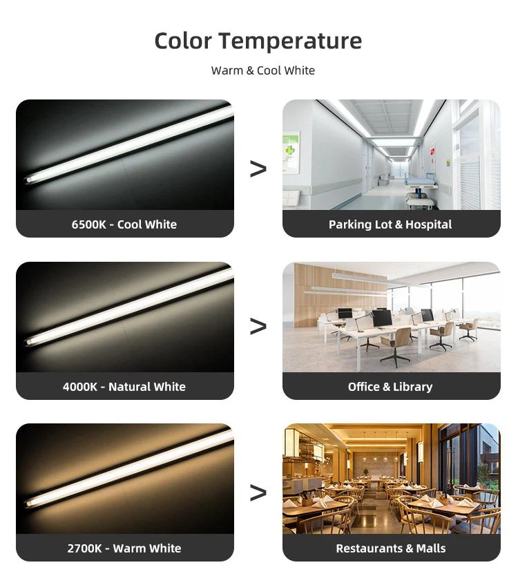 product-750-847 product-750-847