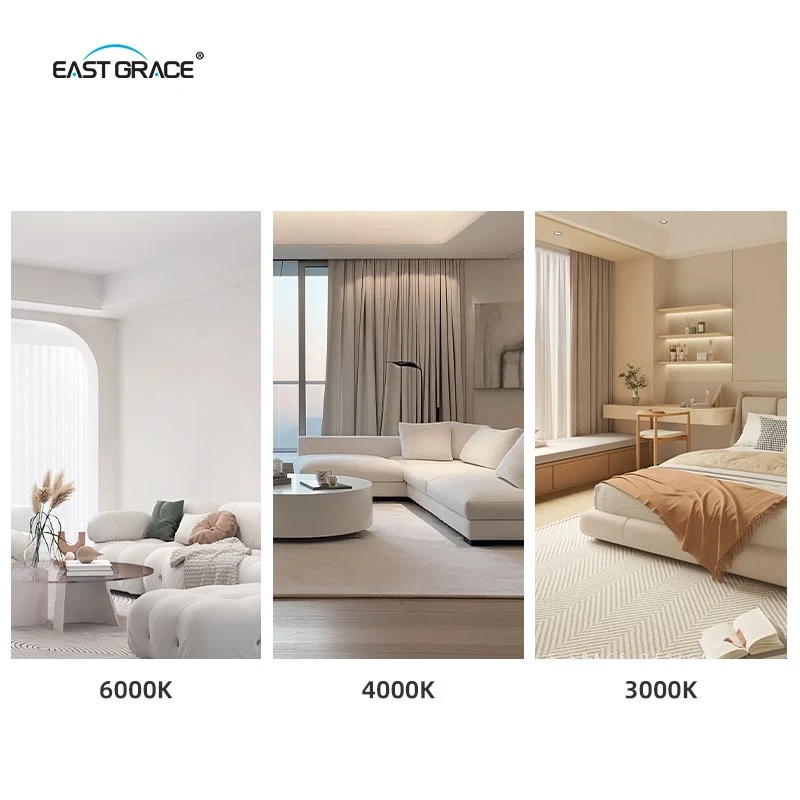 product-800-800 product-800-800