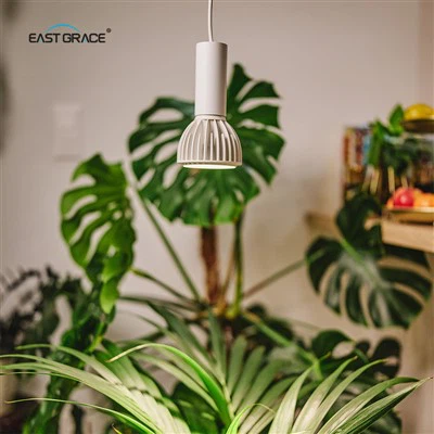 LED par yang tinggi tumbuh ringan