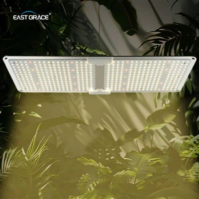 LED papan kuantum tumbuh ringan